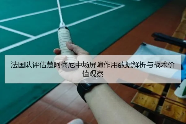 法国队评估楚阿梅尼中场屏障作用数据解析与战术价值观察